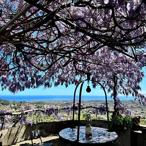 Bed & Breakfast Il Noceto Dell'etna
